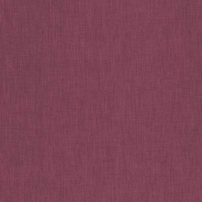 Kasmir BRUSSELS         FUCHSIA         