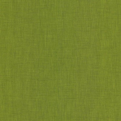 Kasmir BRUSSELS         GRASS           