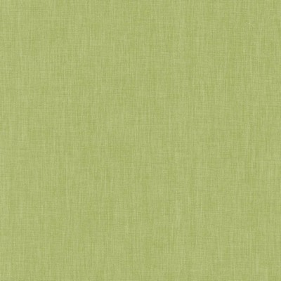 Kasmir BRUSSELS         HONEYDEW        