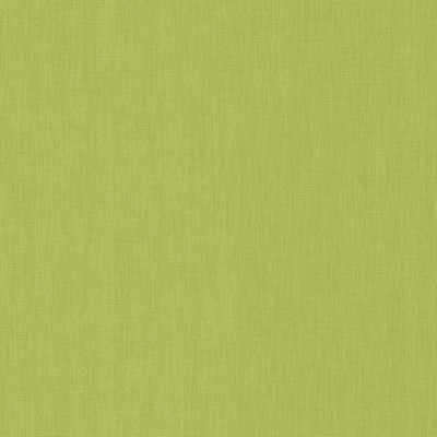 Kasmir BRUSSELS         KIWI            