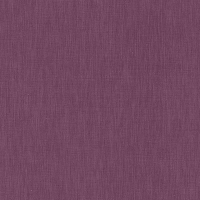 Kasmir BRUSSELS         MAUVE           