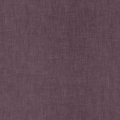 Kasmir BRUSSELS         PURPLE          