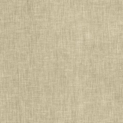 Kasmir BRUSSELS         SUEDE           