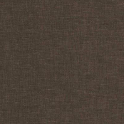 Kasmir BRUSSELS         TRUFFLE         