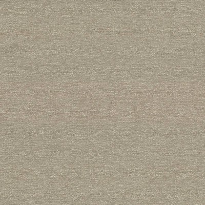 Kasmir CABO             CAMEL           