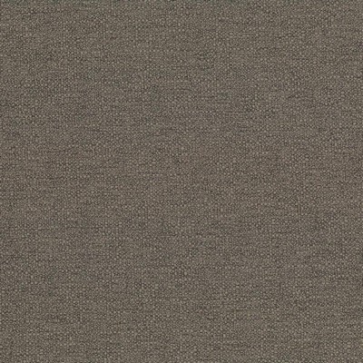 Kasmir CABO             LATTE           