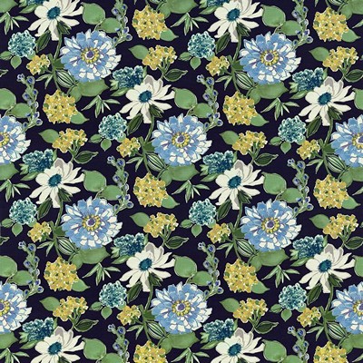 Kasmir CACHEREL         NIGHTFALL       