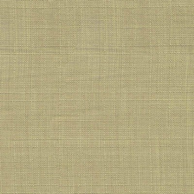 Kasmir CALYPSO          CHINA GOLD      