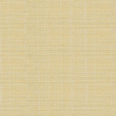 Kasmir CALYPSO          SUNFLOWER       