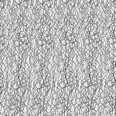 Kasmir CANDY FLOSS      LICORICE        