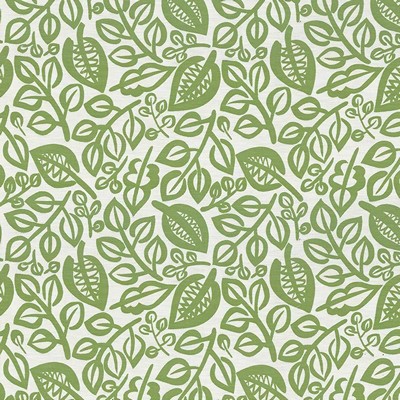 Kasmir CAPESIDE         LIME            