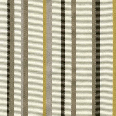Kasmir CASSEL STRIPE    AMBER           