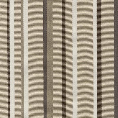 Kasmir CASSEL STRIPE    TAUPE           
