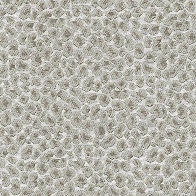 Kasmir CATNIP           GREY            