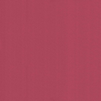 Kasmir CAVALLIS         SCARLET         