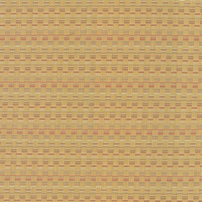 Kasmir CHECK THIS OUT   GOLD            