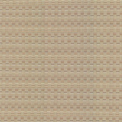 Kasmir CHECK THIS OUT   HAZE            