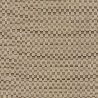 Kasmir CHECK THIS OUT   LATTE           