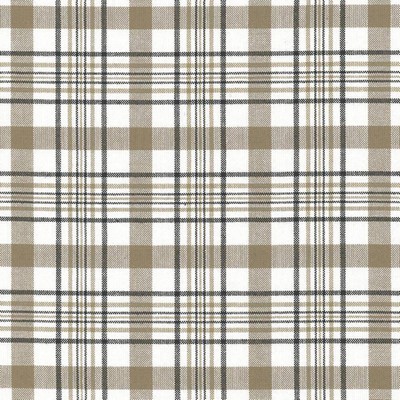 Kasmir CICERO PLAID     GRANITE         