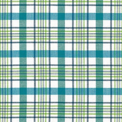 Kasmir CICERO PLAID     ISLE WATERS     