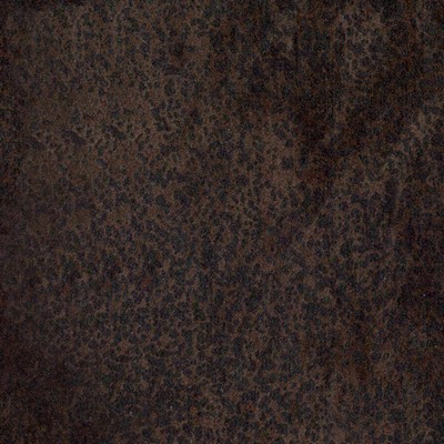 Kasmir CISCO            CHOCOLATE       