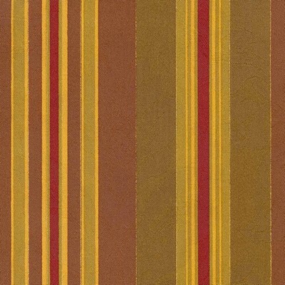 Kasmir COIT             CINNAMON        