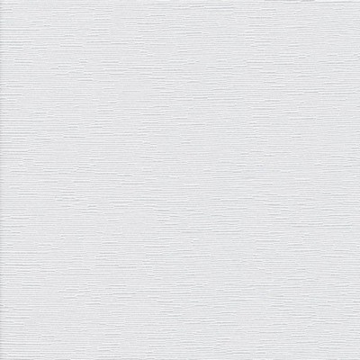 Kasmir COMO             SWAN            