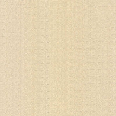 CONGA LINE ALABASTER Kasmir CONGA LINE ALABASTER