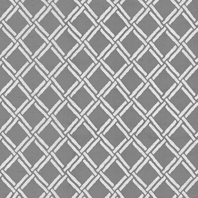 Kasmir CONNECTION       SNOW            