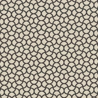 Kasmir COOLRAIN         THUNDER         