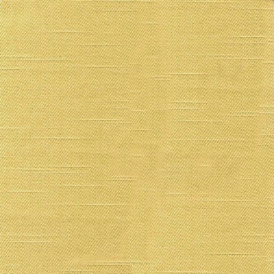 Kasmir COSTA            CORNFLOWER      