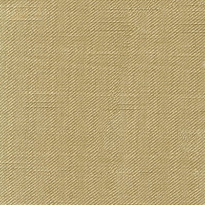 Kasmir COSTA            SILVER          