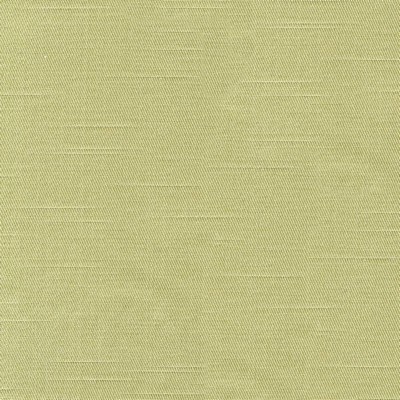 Kasmir COSTA            SPRING          