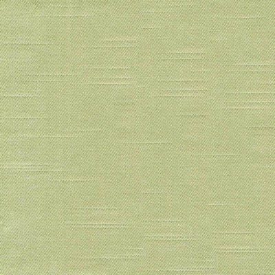 Kasmir COSTA            STEM            