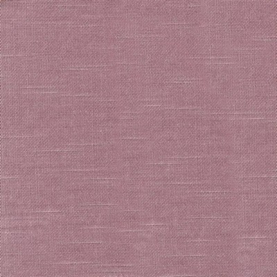 Kasmir COSTA            WISTERIA        