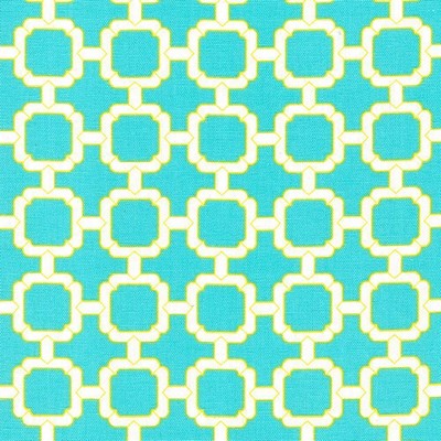 Kasmir COZUMEL FRET     PARAKEET        