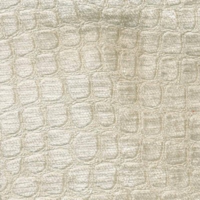 Kasmir CROC             CREAM           