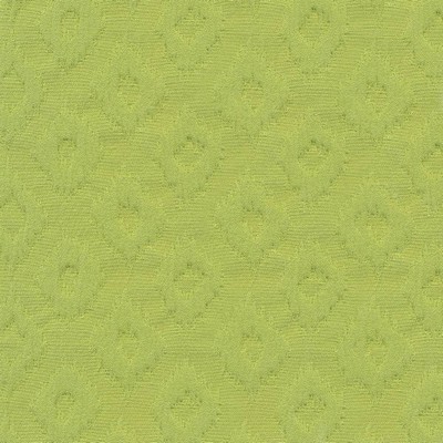 Kasmir CUTIE PATOOTIE   FERN            