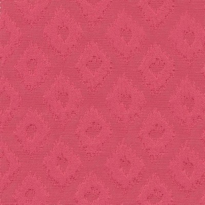 Kasmir CUTIE PATOOTIE   HYACINTH        