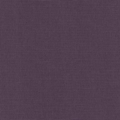 Kasmir DANICA           PLUM            