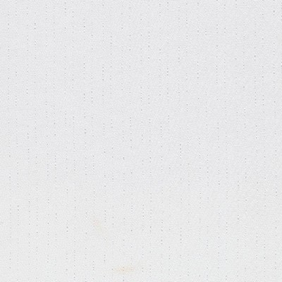 Kasmir DASHING STRIPE   WHITE           