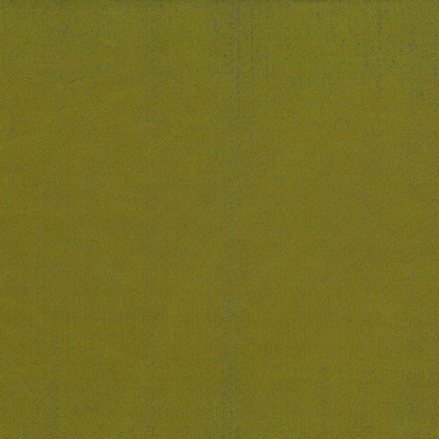 Kasmir DEBONAIR         BEETLE          