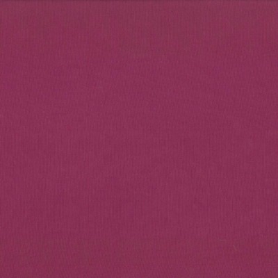 Kasmir DEBONAIR         BEGONIA         