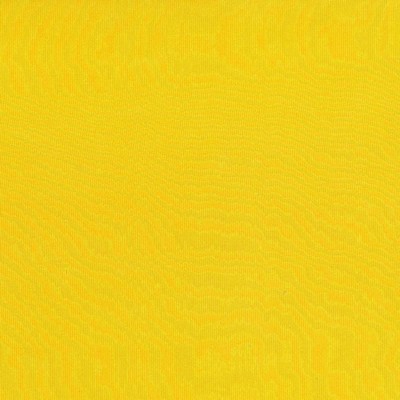 Kasmir DEBONAIR         CANARY          