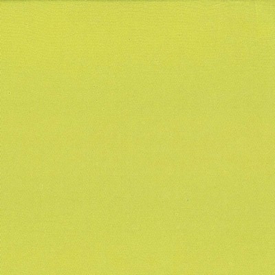 Kasmir DEBONAIR         CELERY          