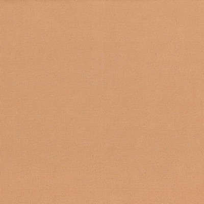 Kasmir DEBONAIR         CLAY            