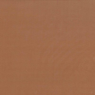 Kasmir DEBONAIR         GOLDEN BROWN    