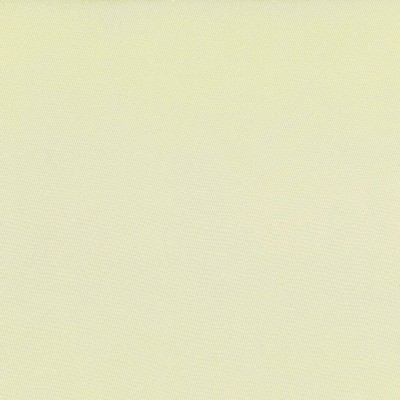 Kasmir DEBONAIR         SUNLIGHT        