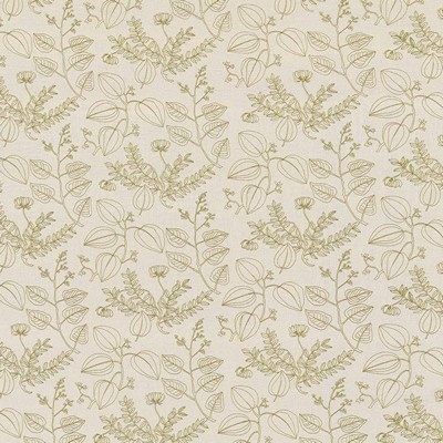 Kasmir DELFINA          LICHEN          