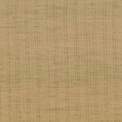 Kasmir DIAPHANOUS       APRICOT         